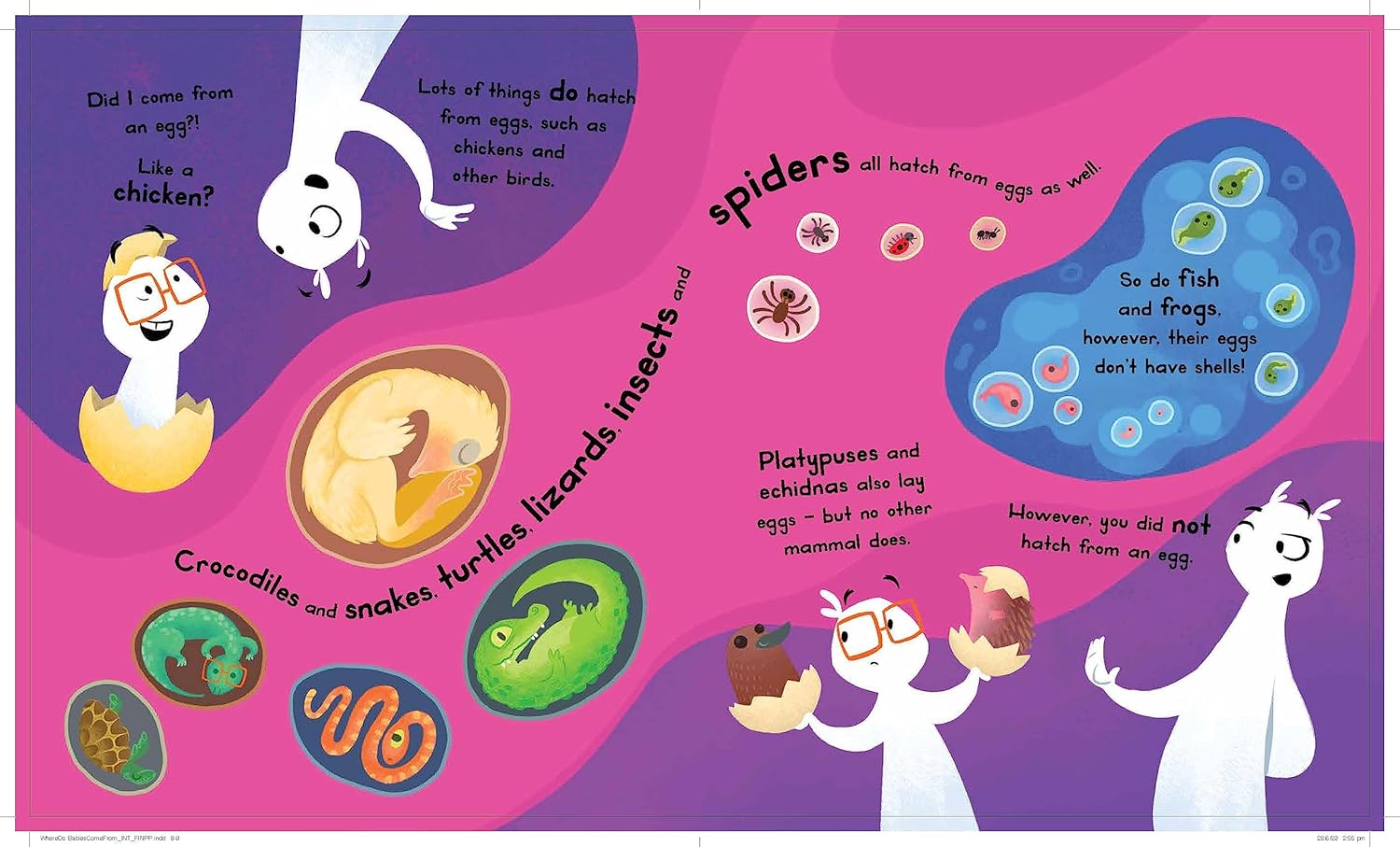 Whiz Kids Whats Next Sequence 36 piece Puzzle