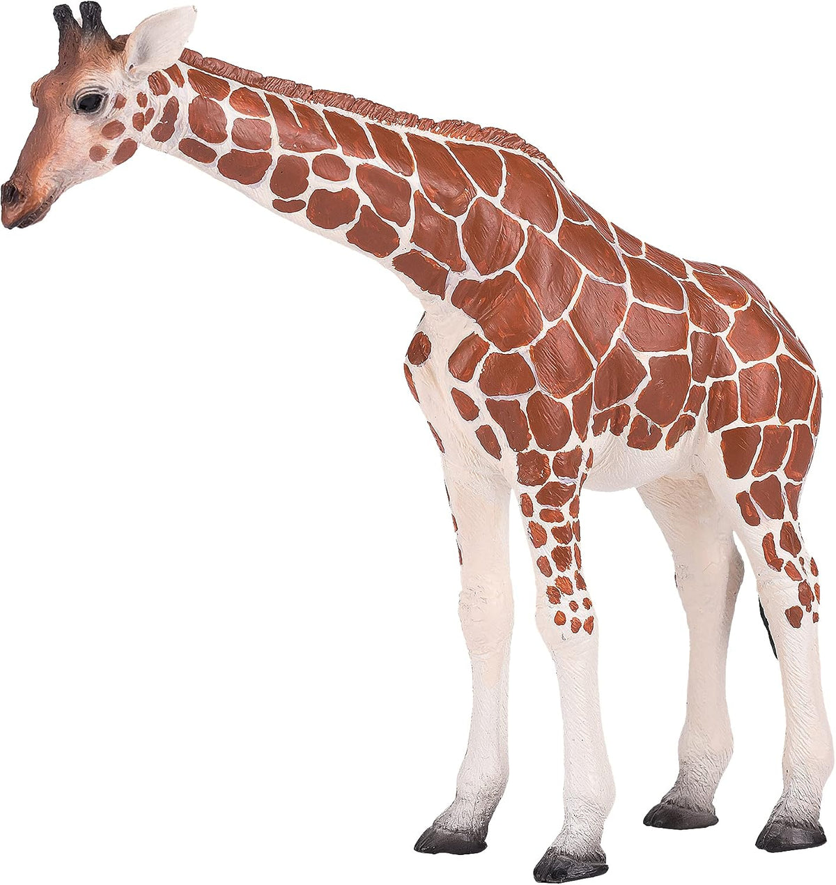 MOJO - Giraffe Female