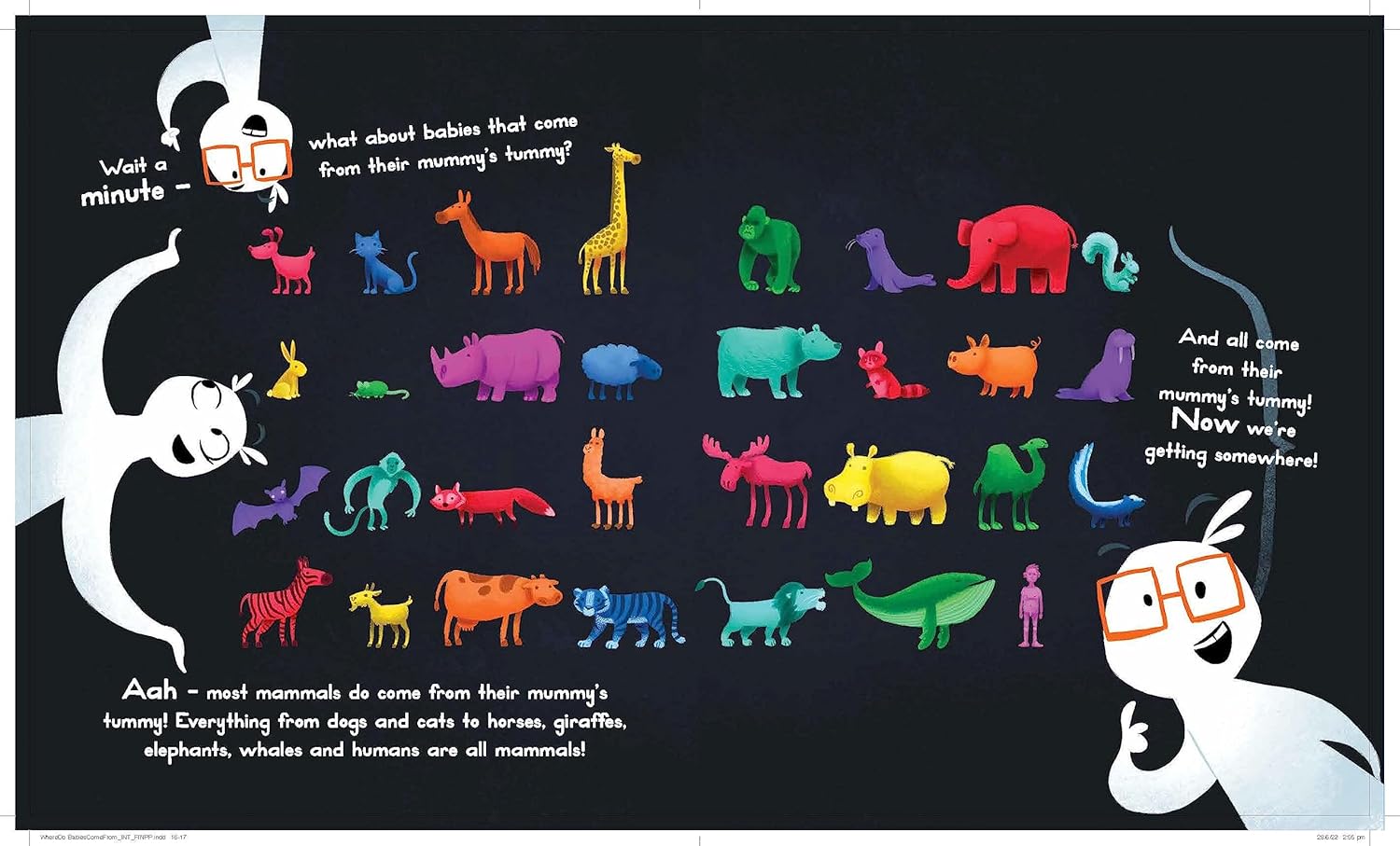 Whiz Kids Whats Next Sequence 36 piece Puzzle