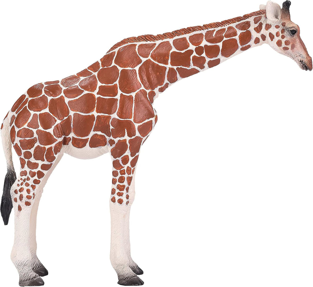 MOJO - Giraffe Female
