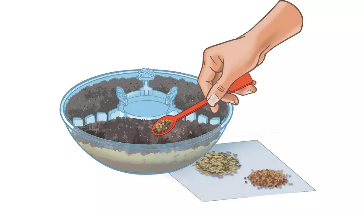 Clementoni Science & Play Ecosphere Terrarium