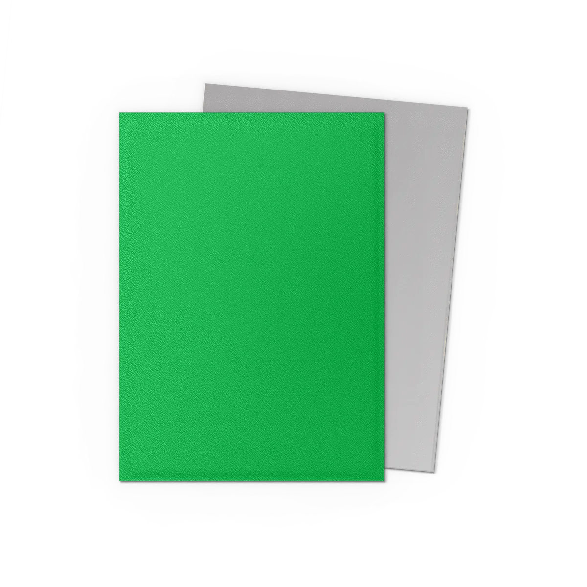 Dragon Shield Apple Green & Silver Sleeves 100 Pack