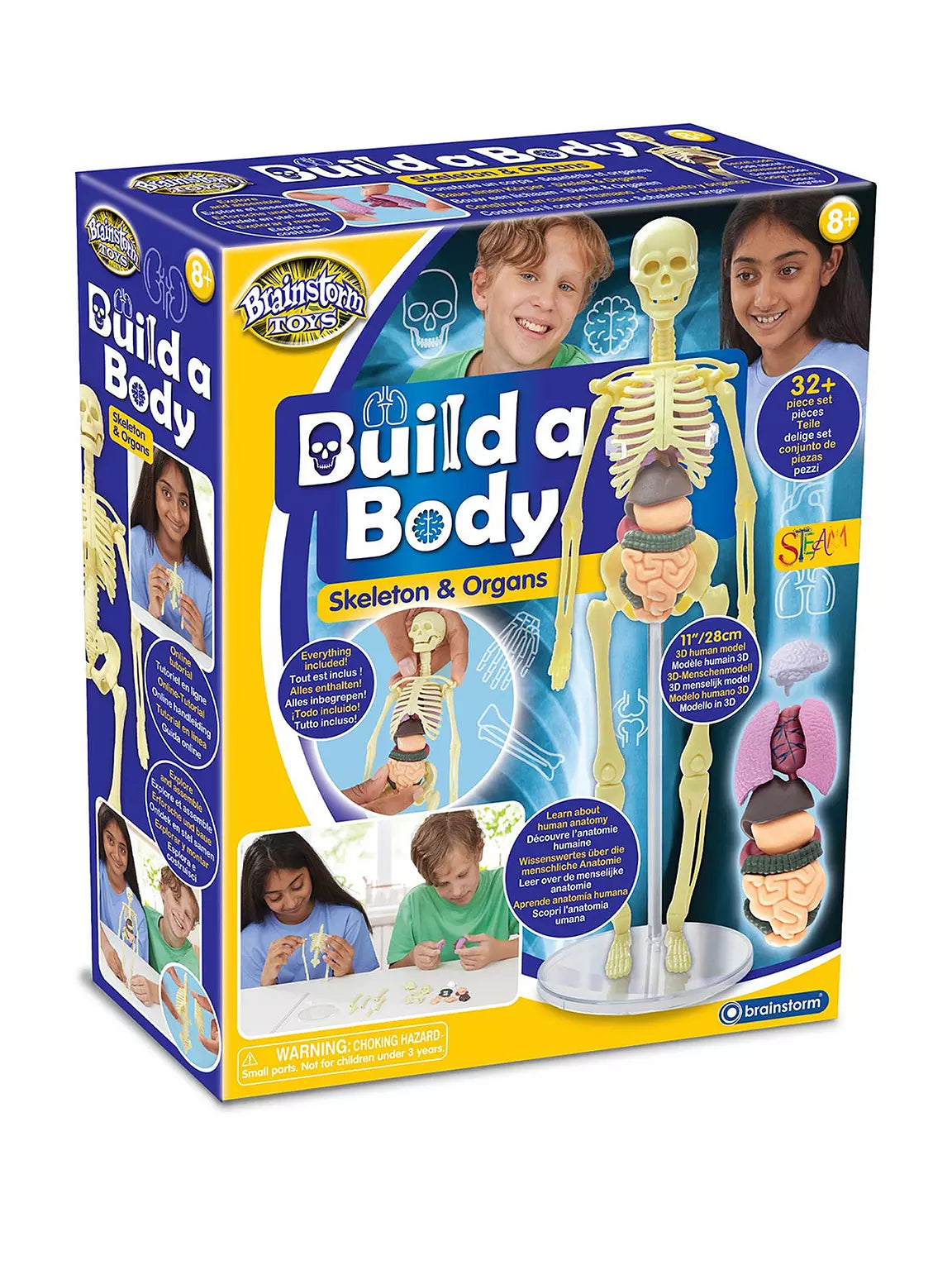 Build a Body Skeleton & Organs