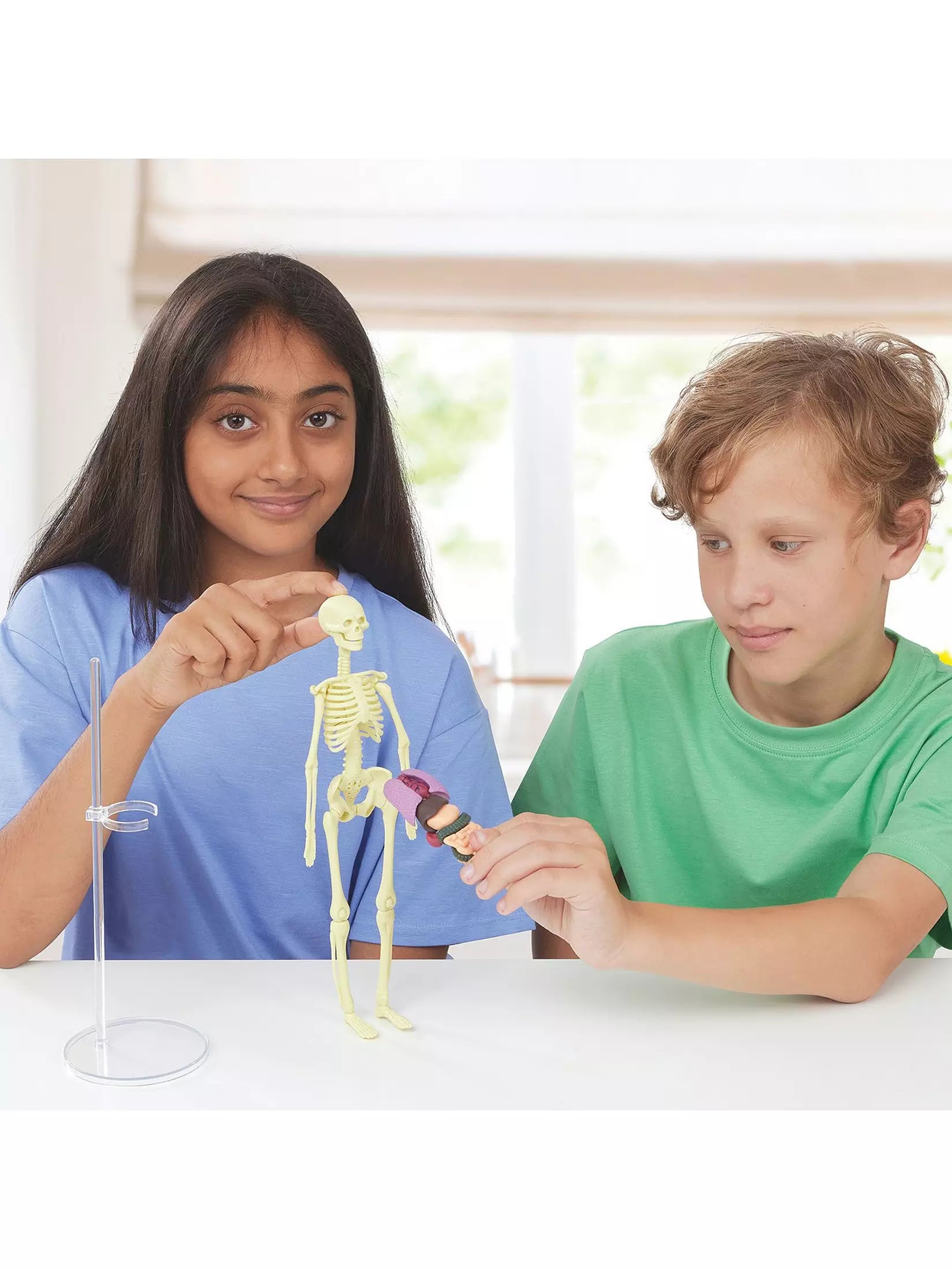 Build a Body Skeleton & Organs
