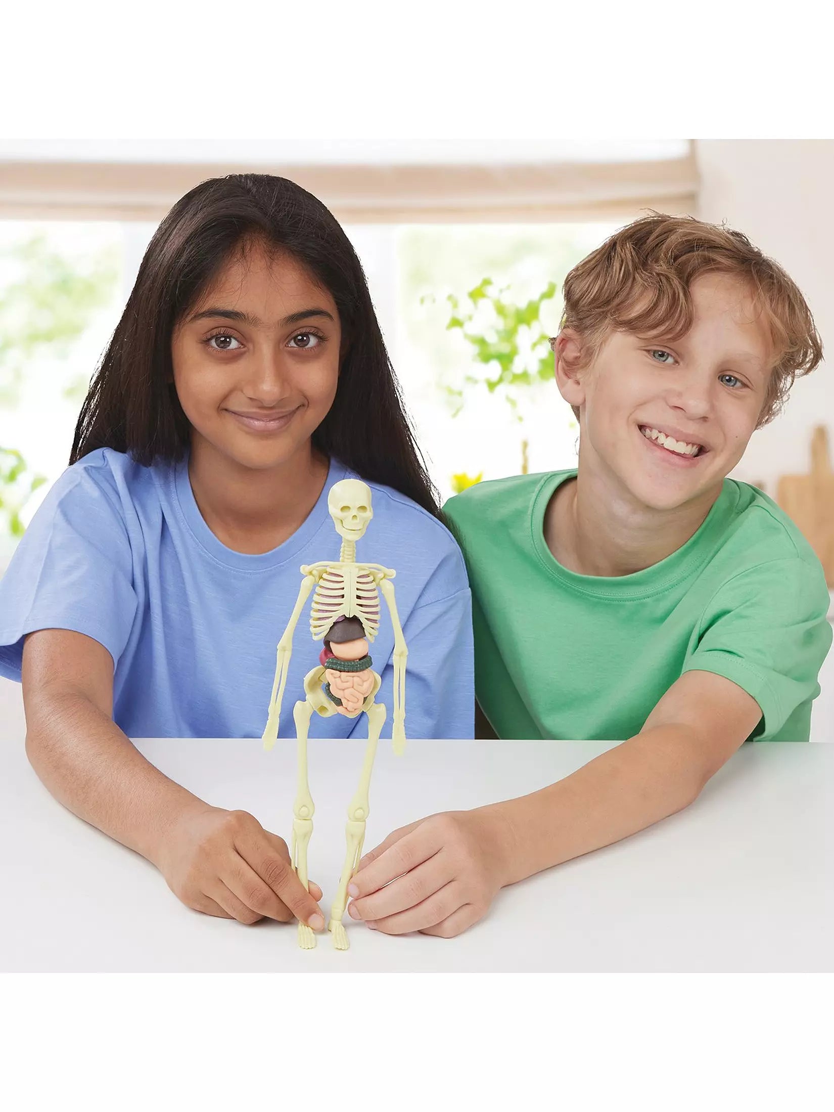 Build a Body Skeleton & Organs