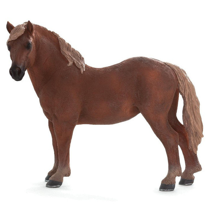 MOJO - Suffolk Punch Mare