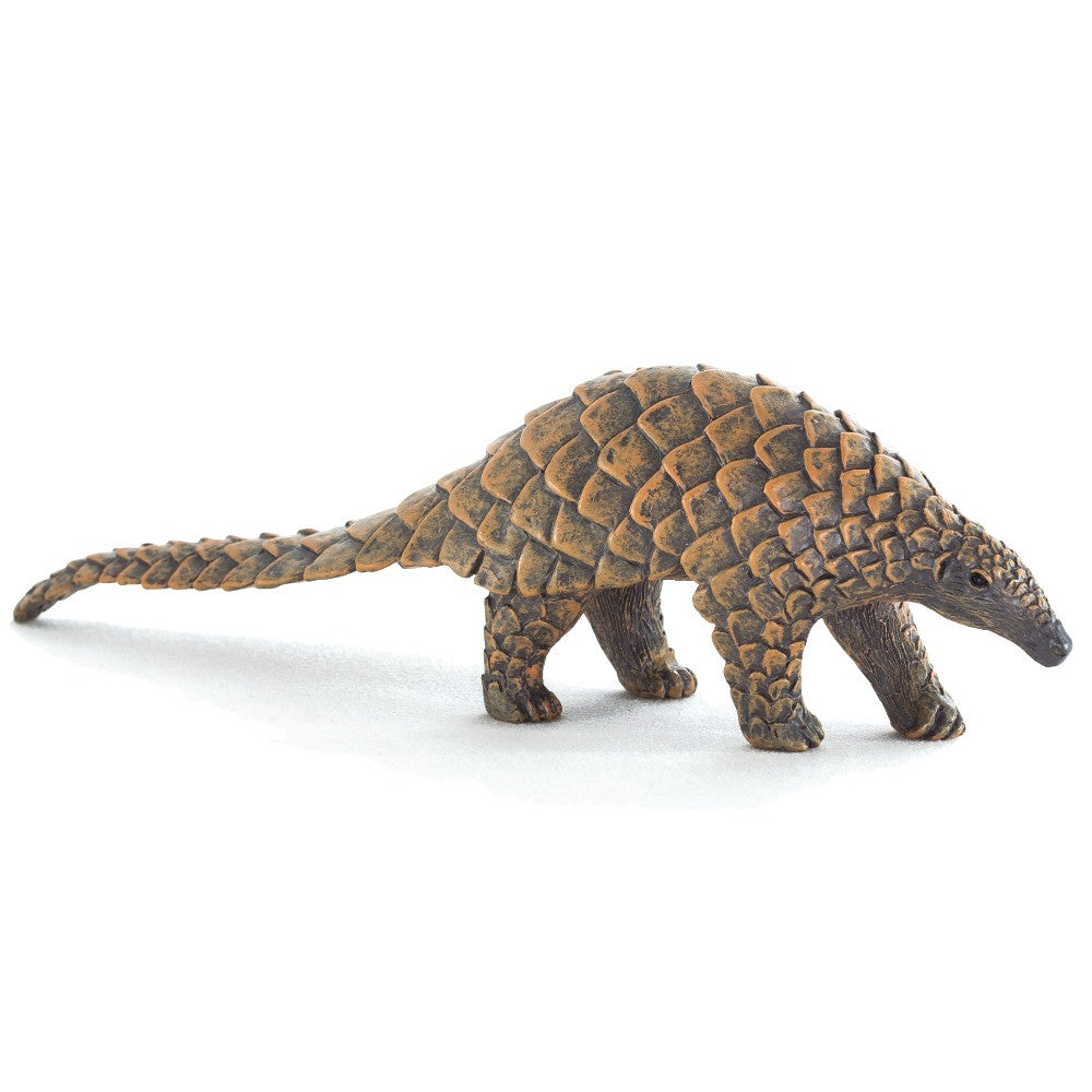 MOJO - Indian Pangolin