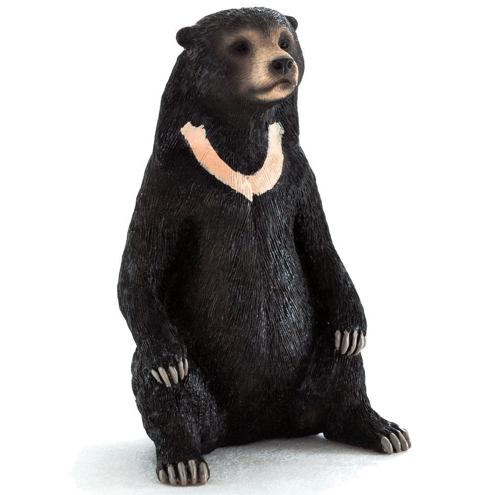 MOJO - Sun Bear
