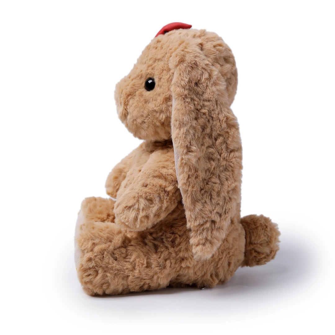Latte Sweet Bunny 25cm Soft Toy