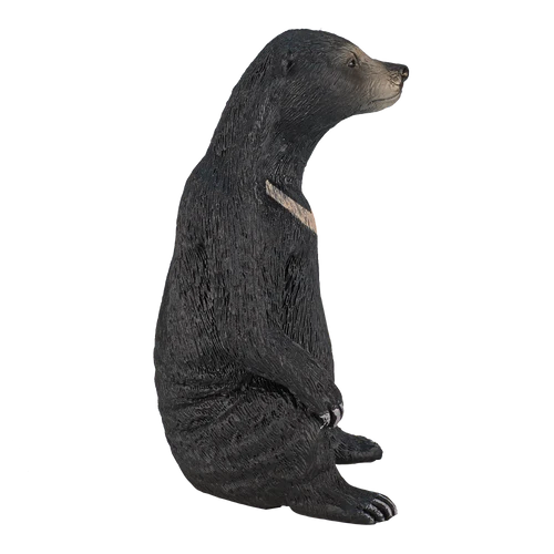 MOJO - Sun Bear
