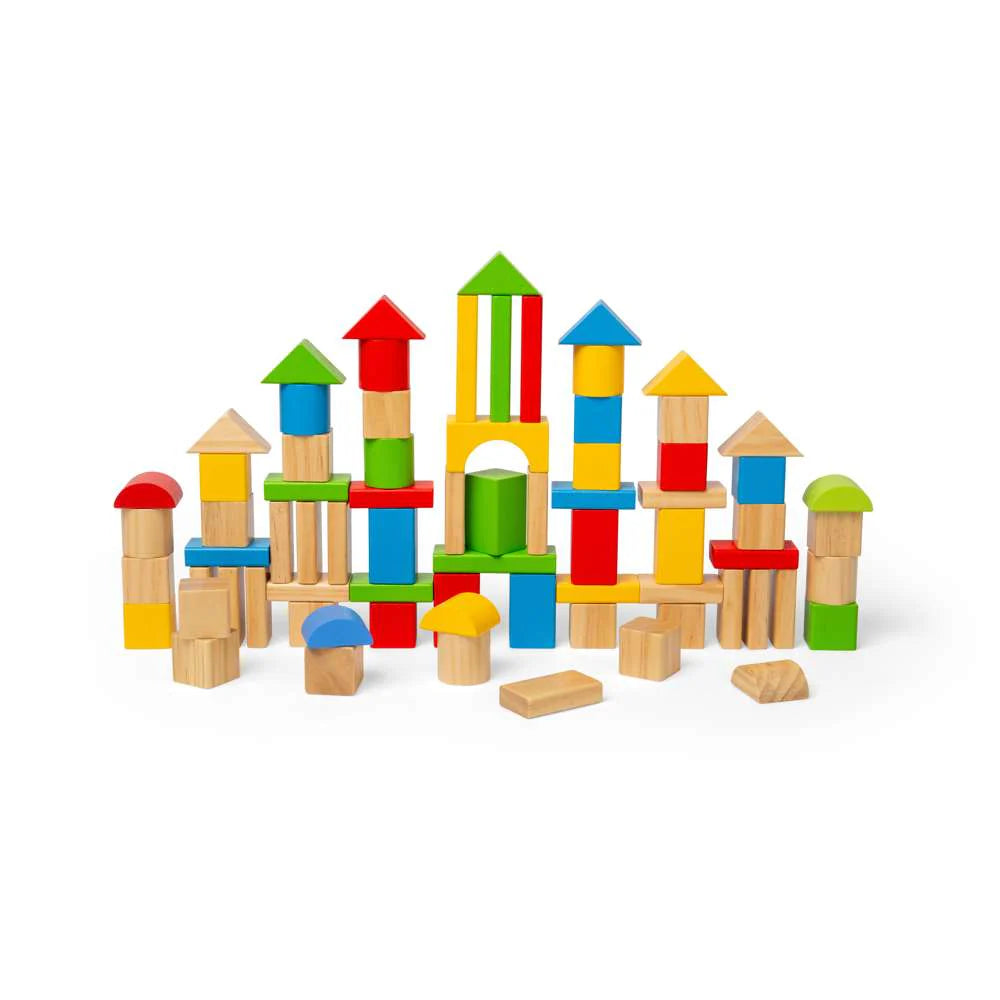First Building Brick