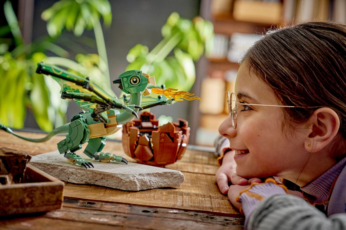 Lego 76477 Norbert: Hagrids Baby Dragon