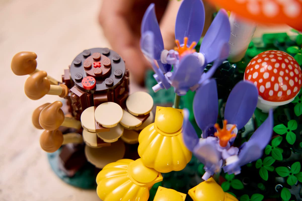 Lego 11505 Woodland Mushrooms