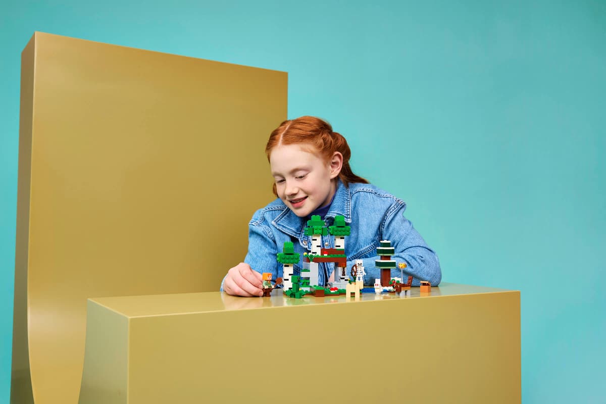 Lego 21593 First Night Adventure