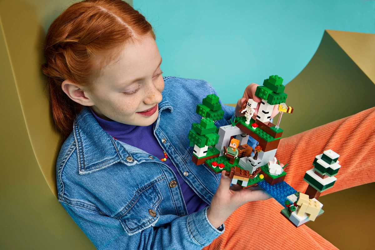 Lego 21593 First Night Adventure