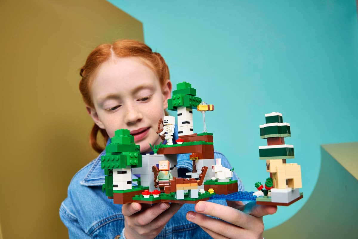 Lego 21593 First Night Adventure
