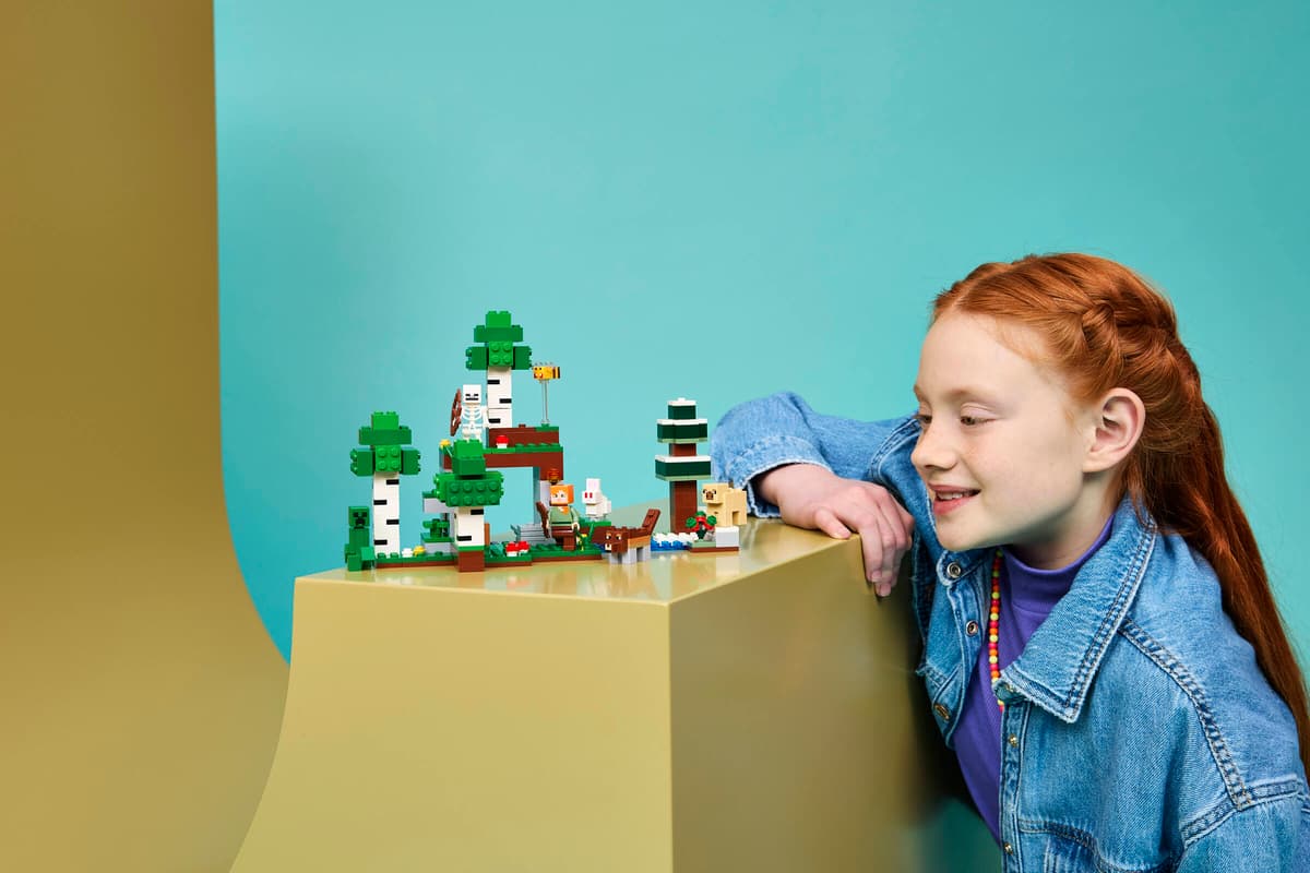Lego 21593 First Night Adventure