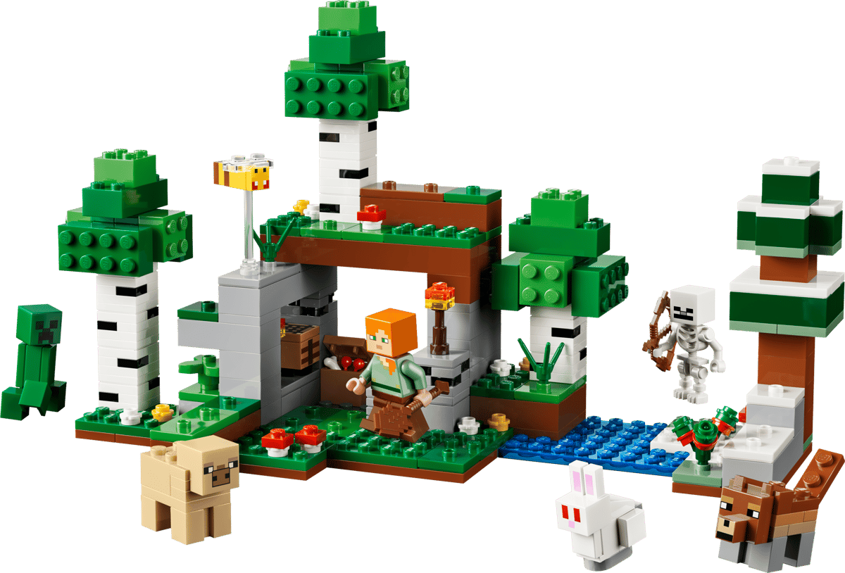 Lego 21593 First Night Adventure