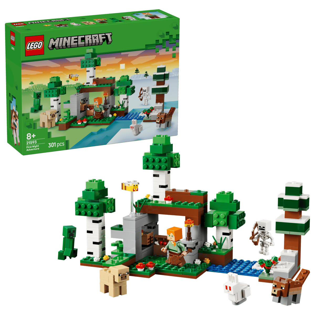 Lego 21593 First Night Adventure