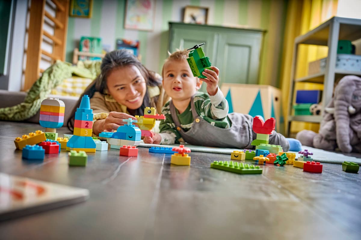 Lego 10479 Colorful Creative Box