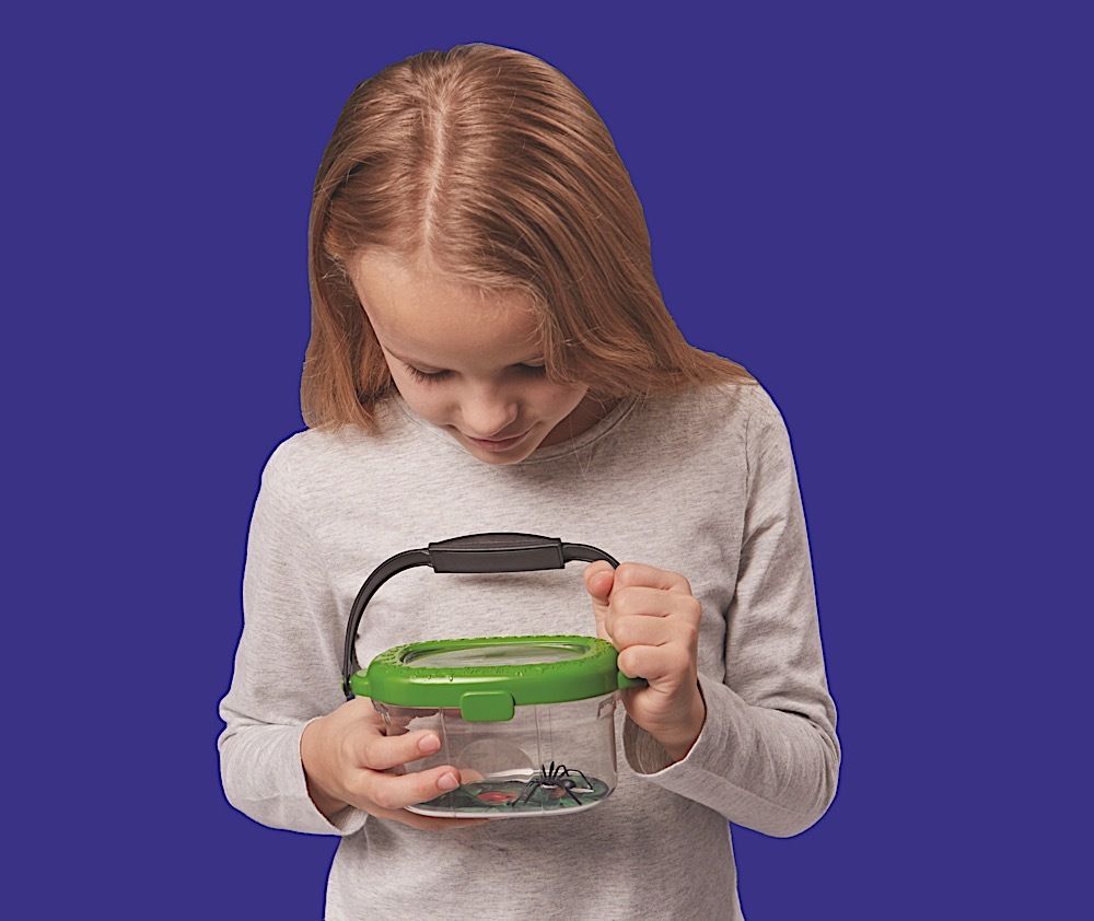 Brainstorm Bug Viewer