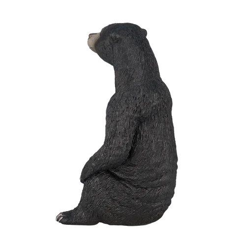 MOJO - Sun Bear
