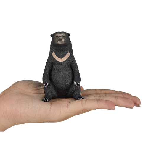 MOJO - Sun Bear