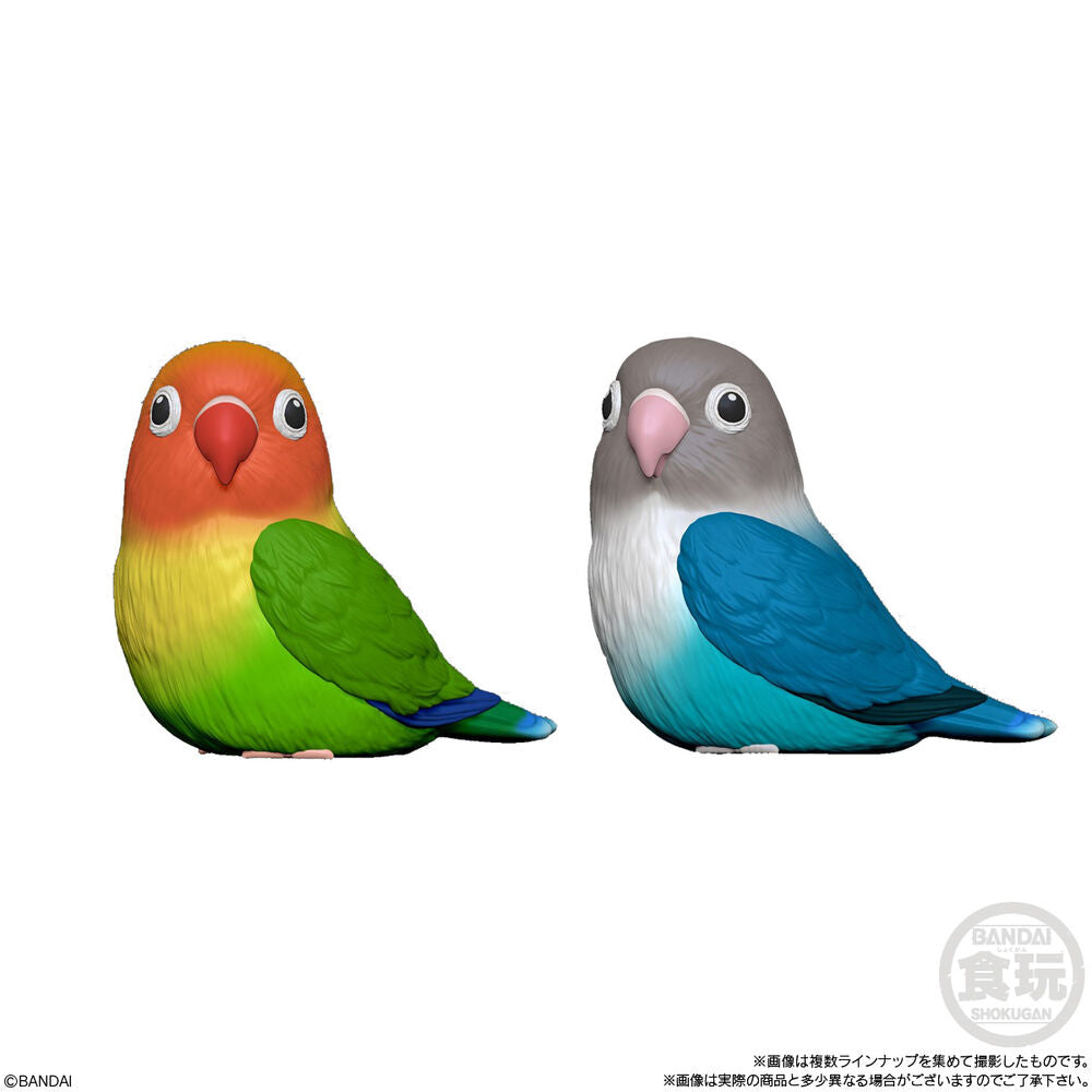SHOKUGAN - Tenori Friends 6cm - Wave 4