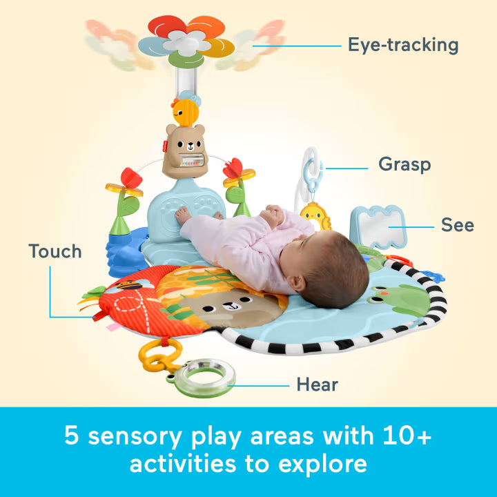 Fisher Price 3 in 1 Kick & Sway Activity Gym