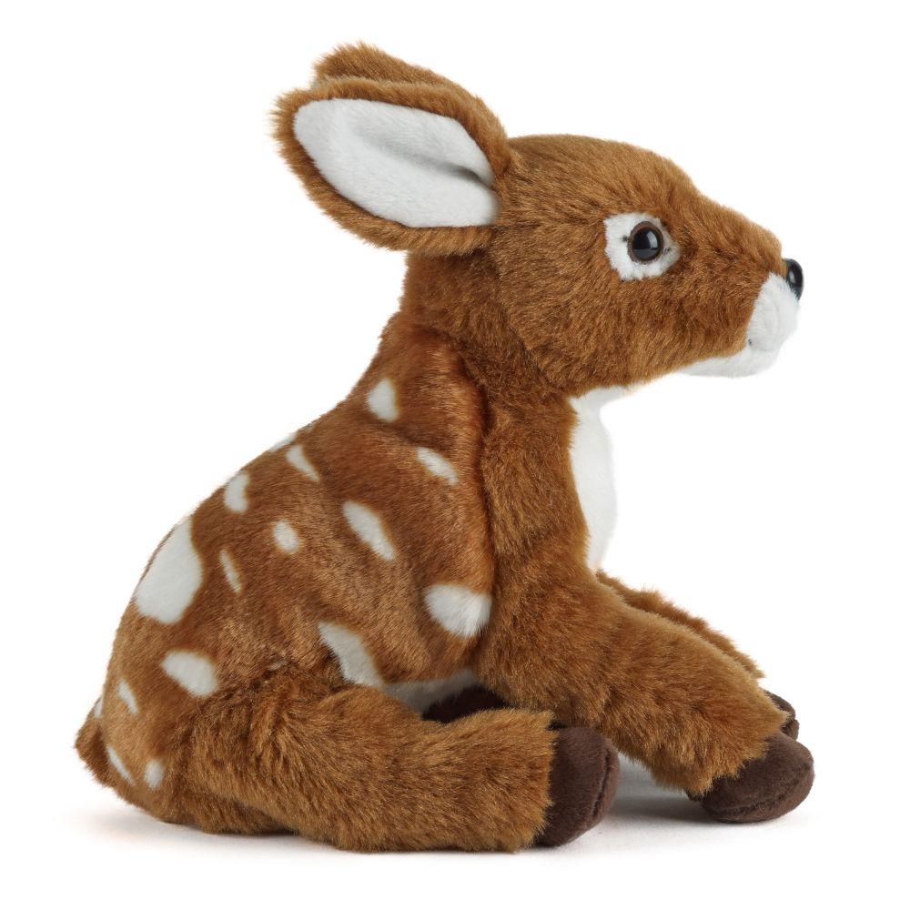 Living Nature Fawn