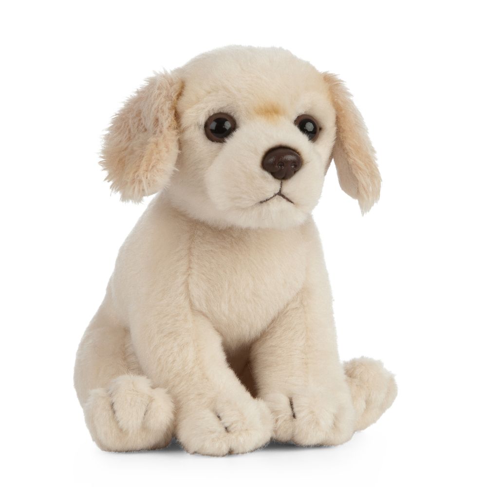 Living Nature Golden Retreiver Puppy