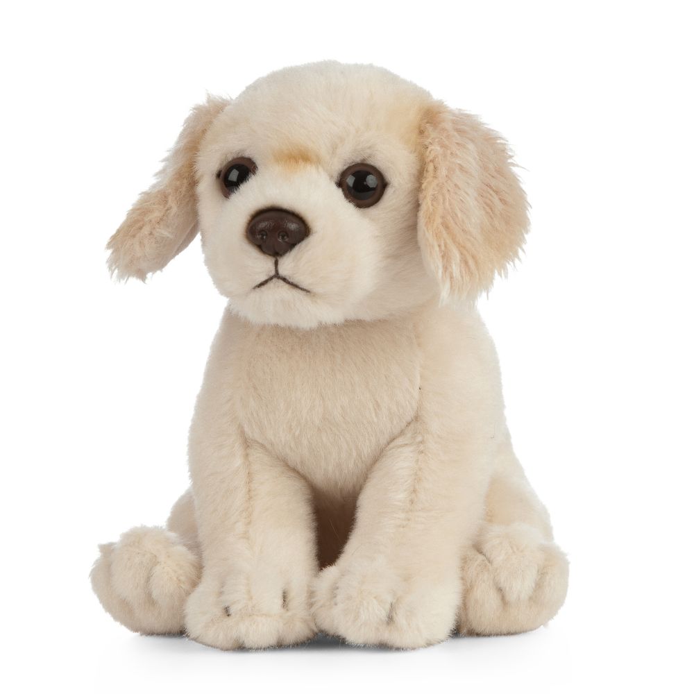 Living Nature Golden Retreiver Puppy