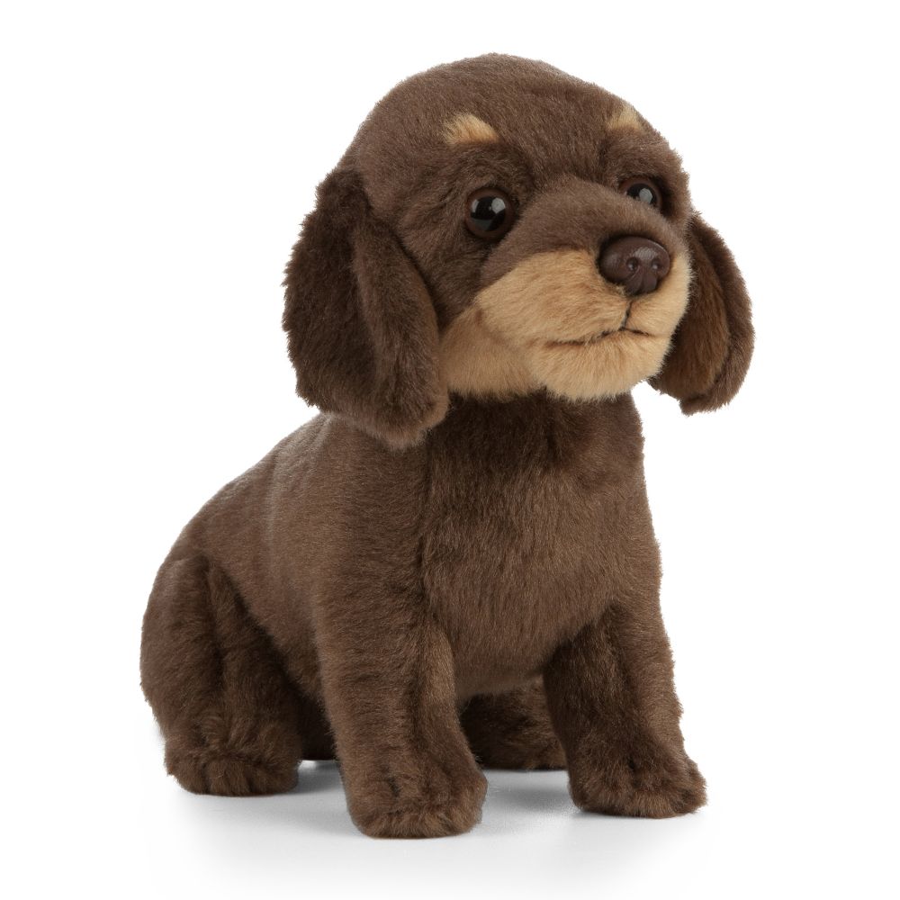 Living Nature Dachshund Puppy