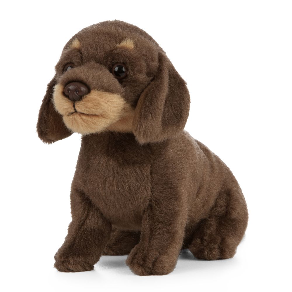 Living Nature Dachshund Puppy