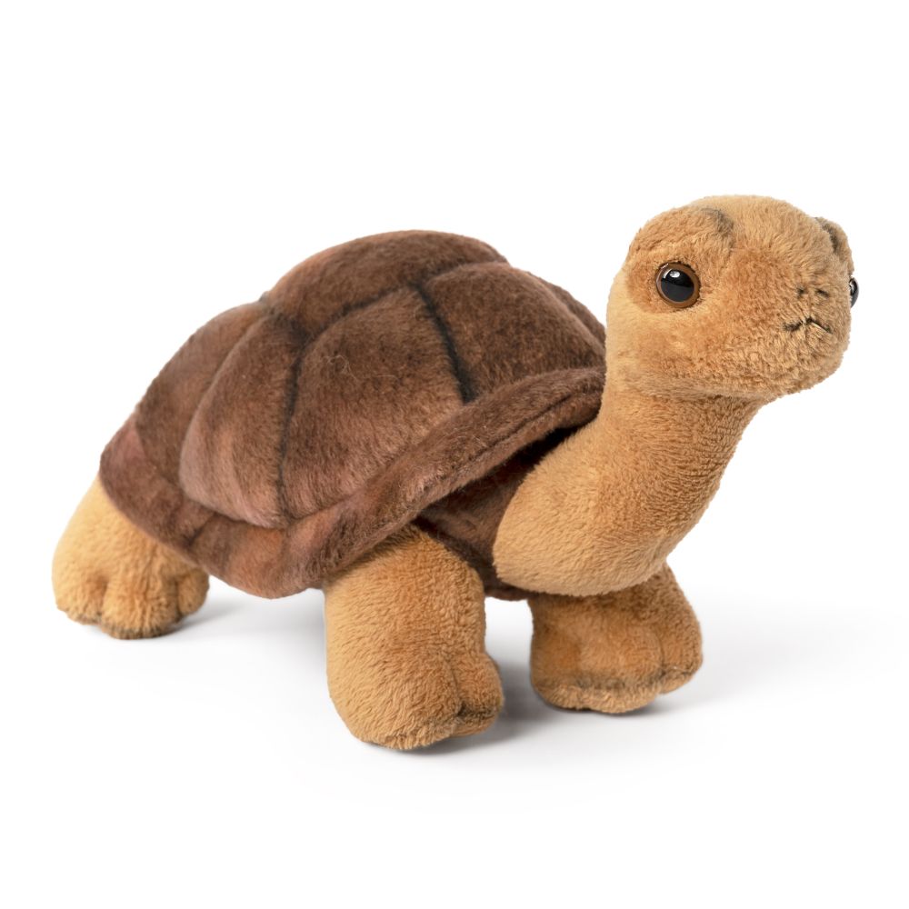 Living Nature Tortoise Plush
