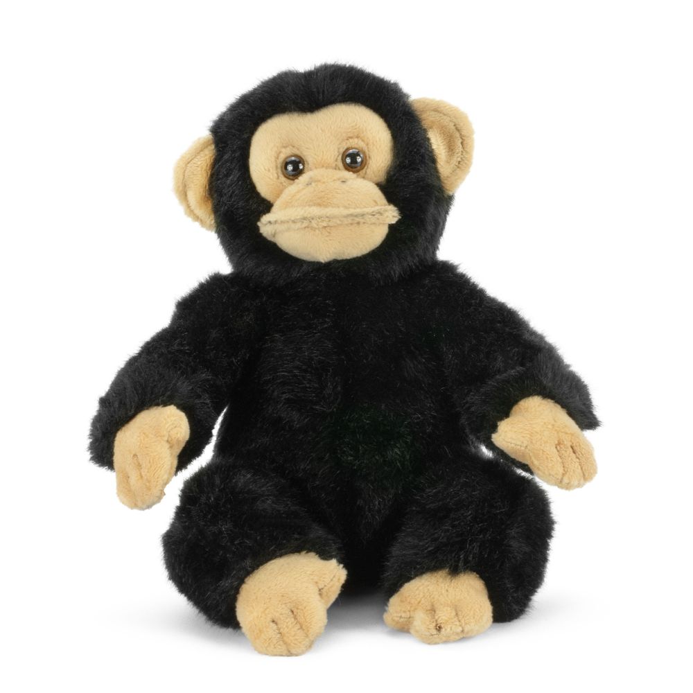 Living Nature Chimp Sitting