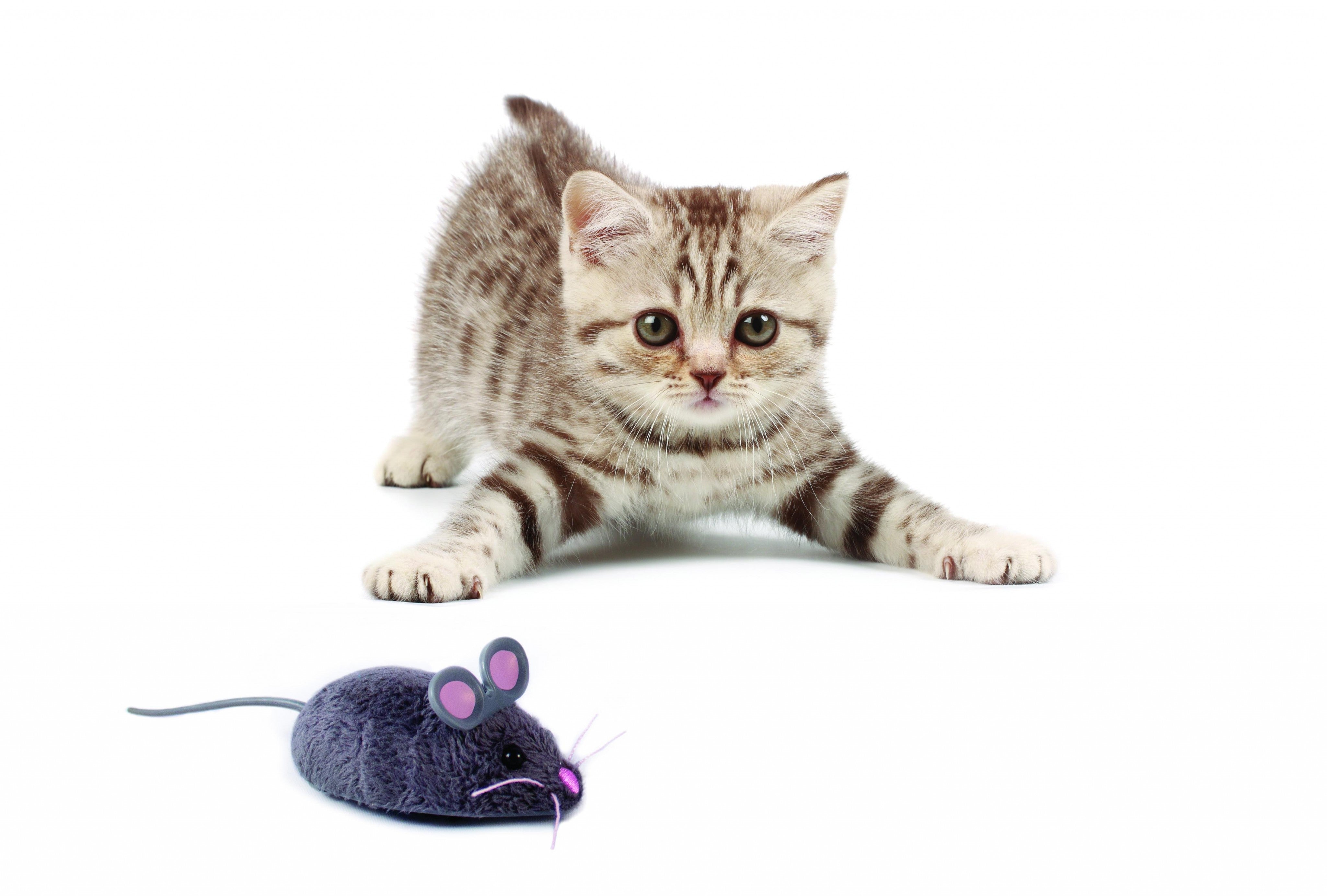 Hexbug Mouse Pet Toy Gray