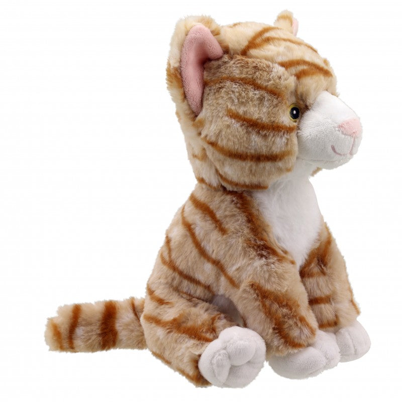 Wilberry Plush Bobby Smudge Cat