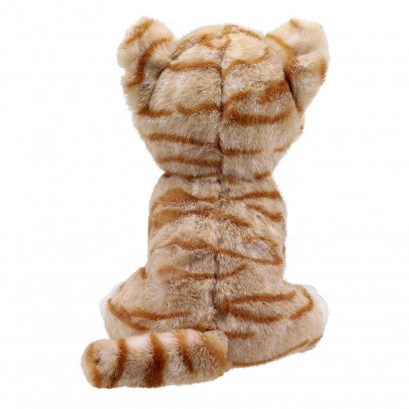 Wilberry Plush Bobby Smudge Cat