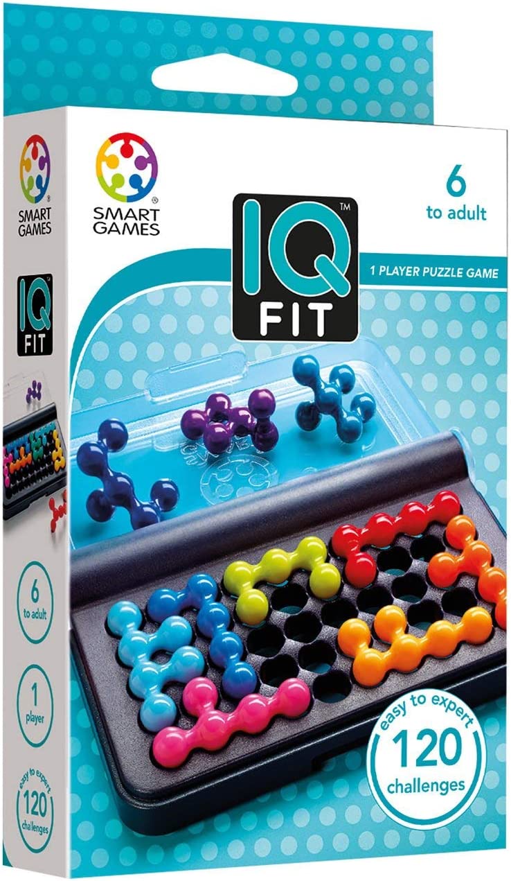 IQ Fit Travel Game