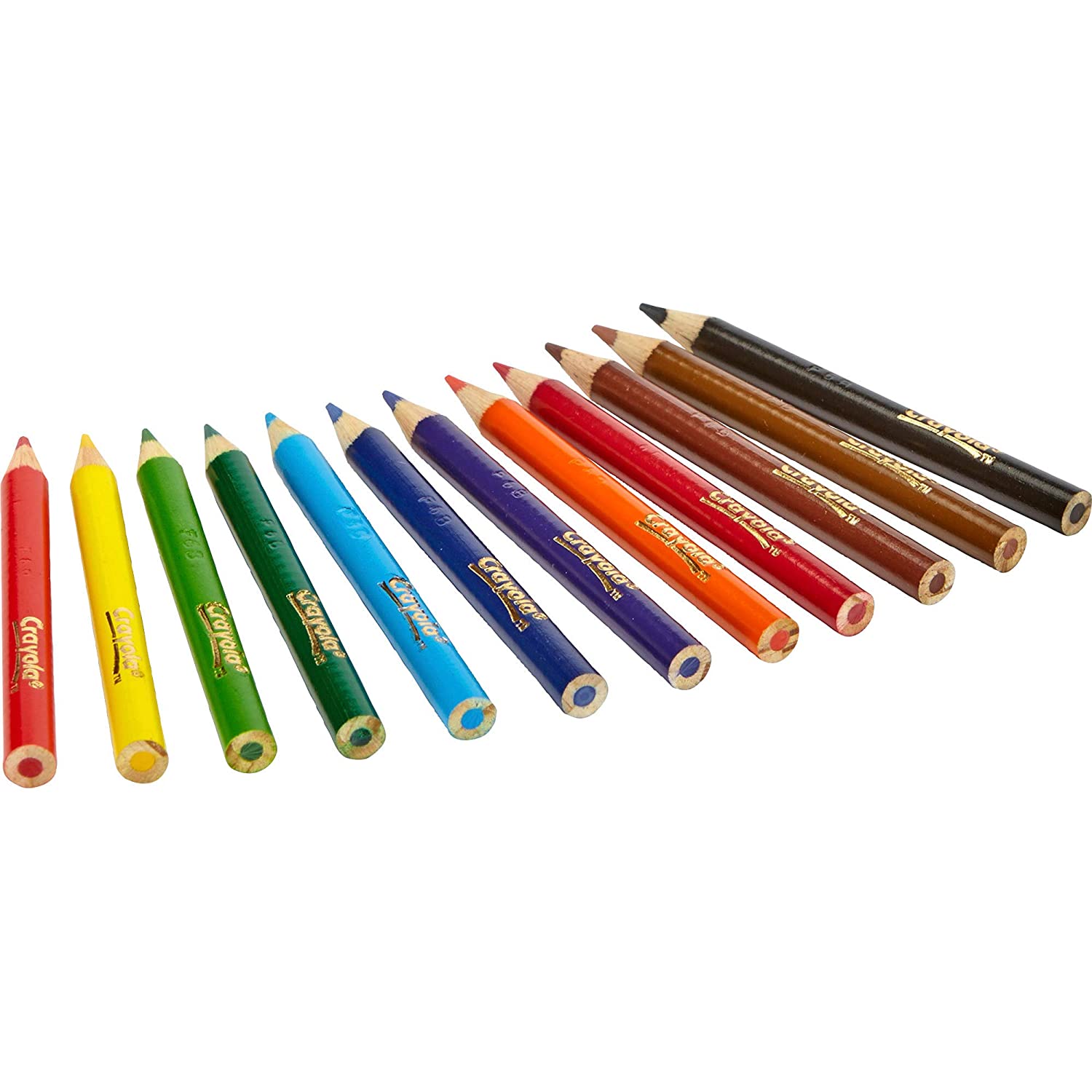 Crayola 12 Short Coloured Pencils