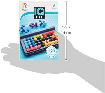 IQ Fit Travel Game