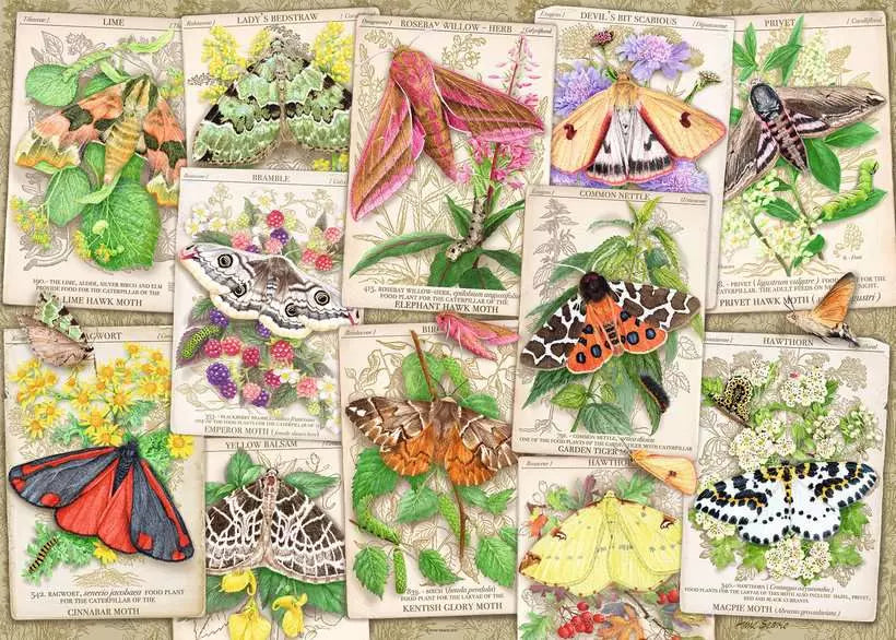 Marvellous Moths 1000 Piece Jigsaw