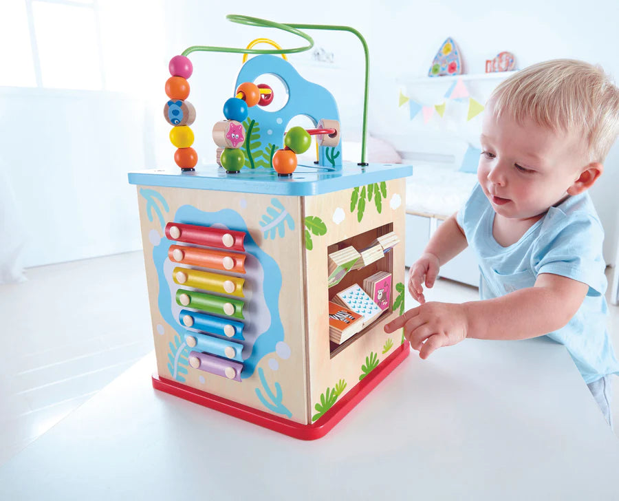 Hape Nature Exploration Play Cube