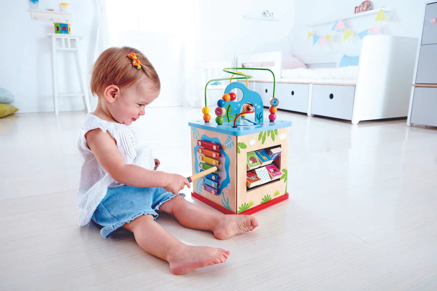 Hape Nature Exploration Play Cube