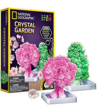 National Geographic Crystal Garden Set