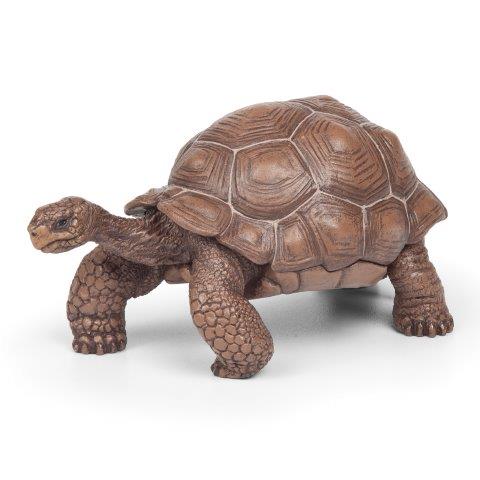 Papo Galápagos Tortoise