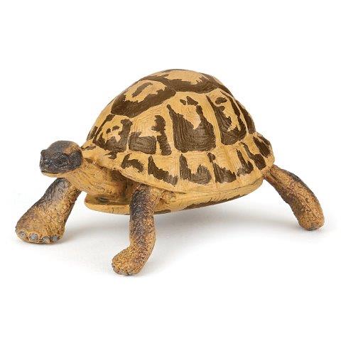 Papo Hermann Tortoise