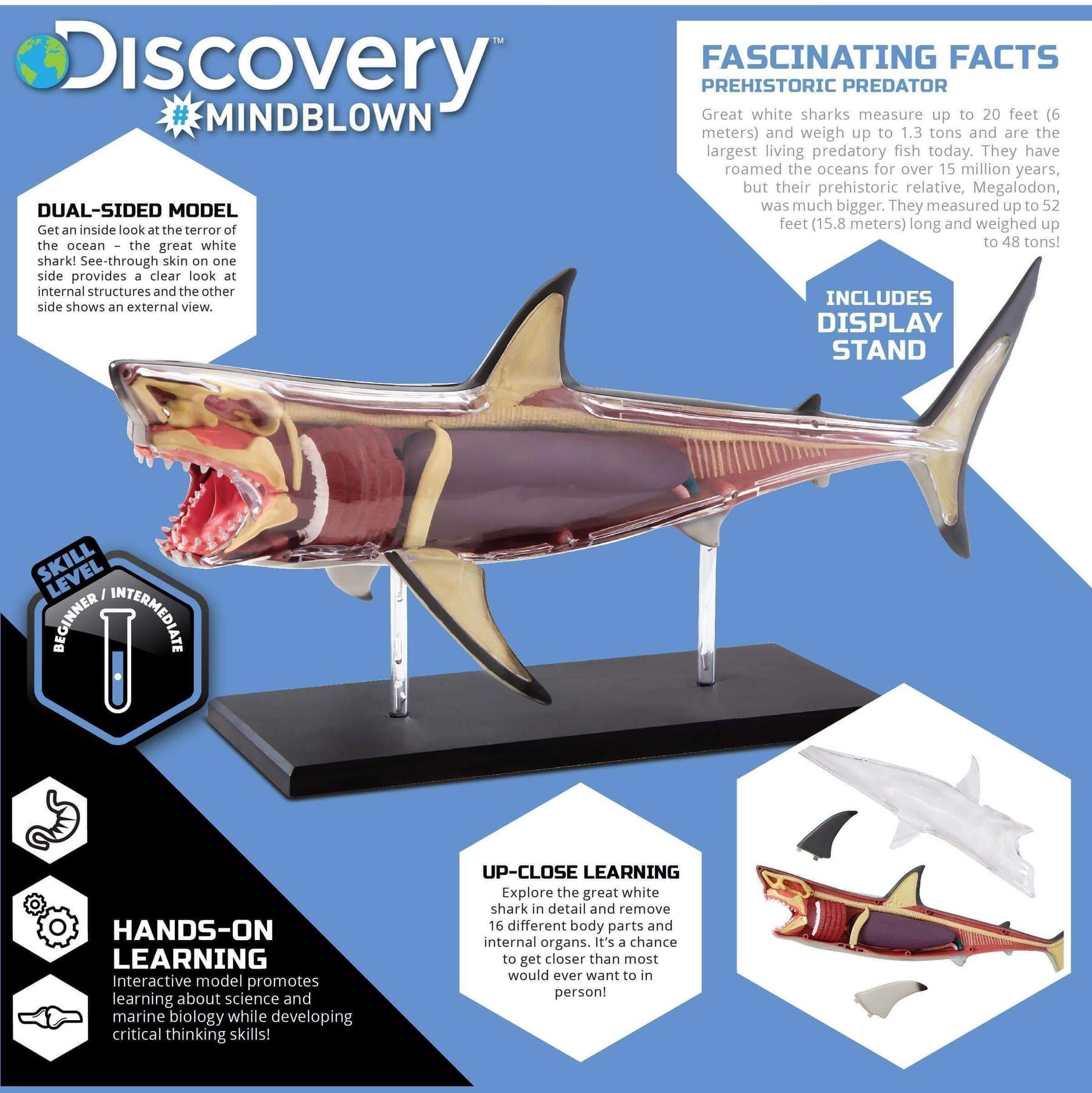 4D Shark Anatomy Kit