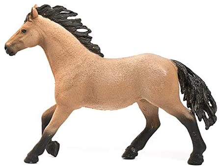 Shquarter Horse Stallion